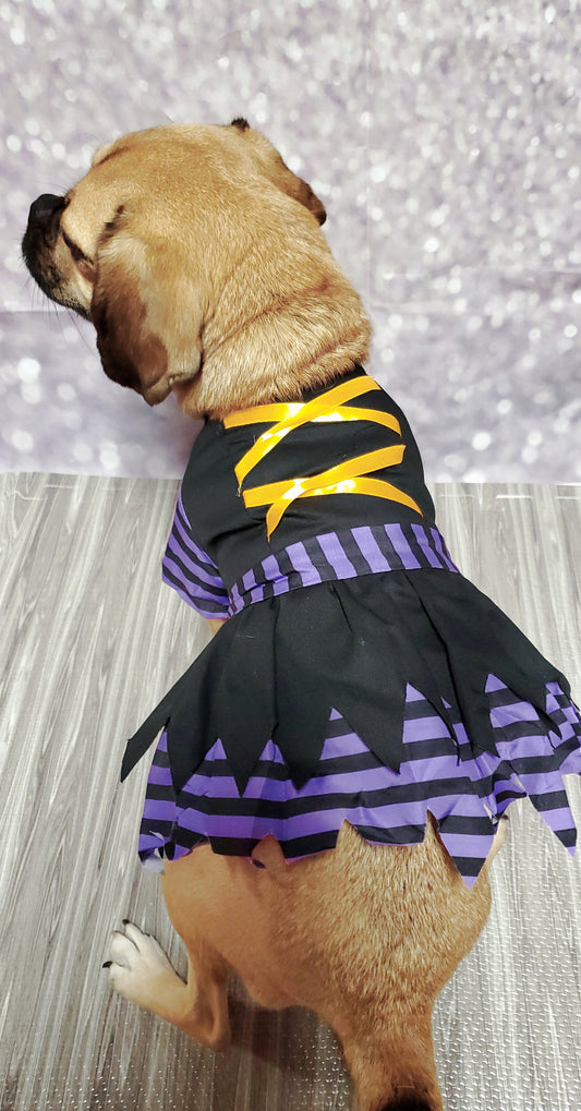 Doggy Witch Dog Costume