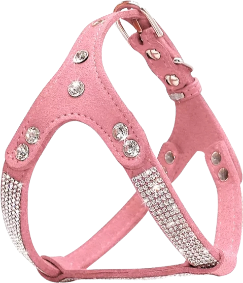 Rhinestone  Harness