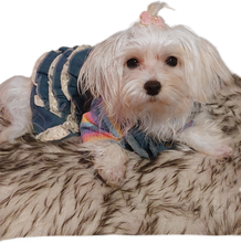 Load image into Gallery viewer, Rainbow striped dog vest T-shirt