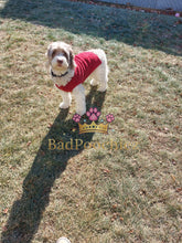 Load image into Gallery viewer, BadPoochiez Boarding  Services
