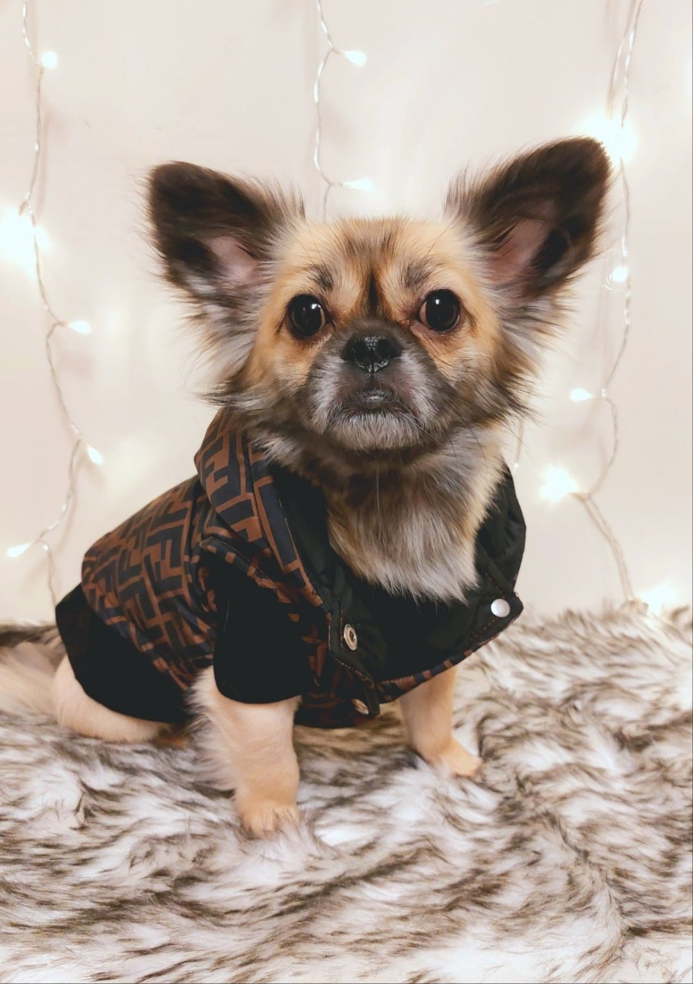 Frendi Brown & Black Jacket  Dog Vest